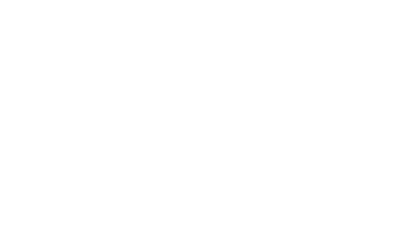 GLOBAL GARAGE